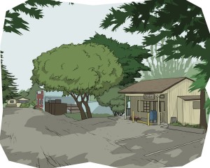 Redwood Estates